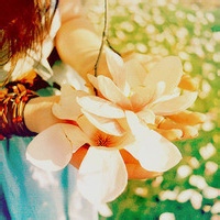 clever2913的头像-小熊猫社区